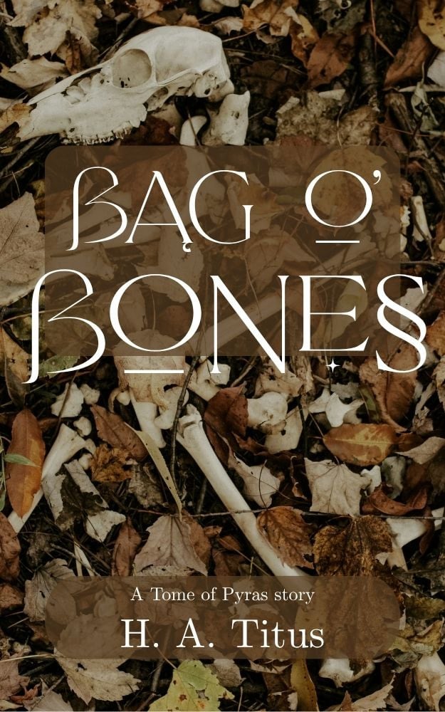 Cover of Bag O' Bones by H. A. Titus